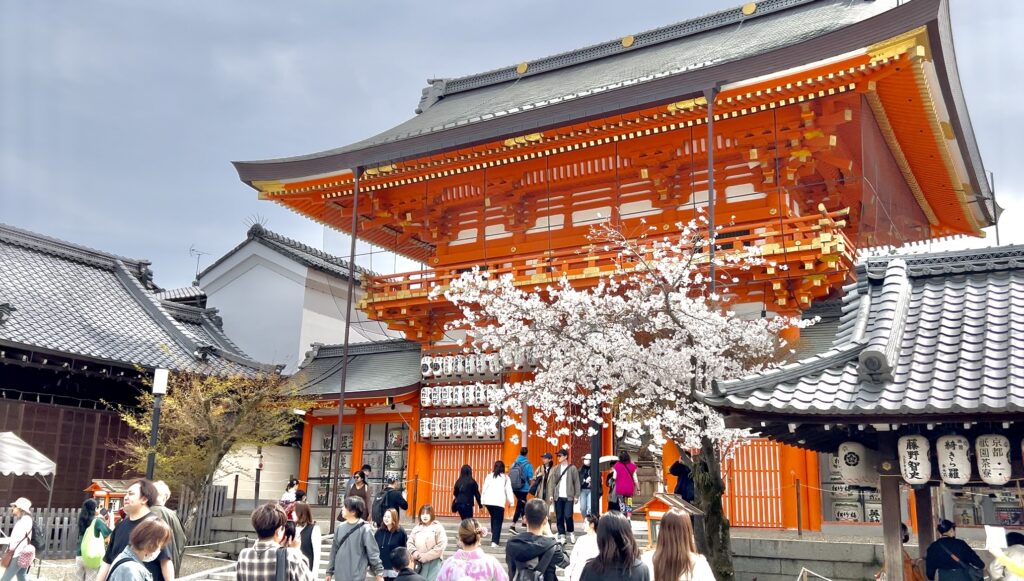 円山公園と共に京都のお花見の定番スポットとなり、観光客でにぎわう八坂神社の南楼門と桜。