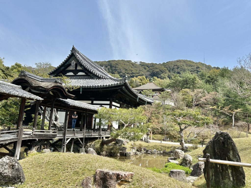京都らしい新緑を背景に映える高台寺。
