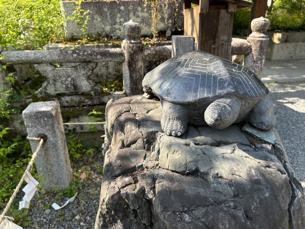 撫で亀というユニークな体験ができる。